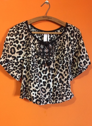 Blusa