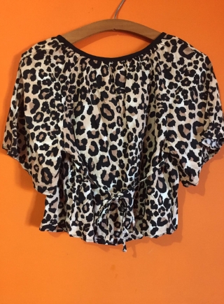 Blusa