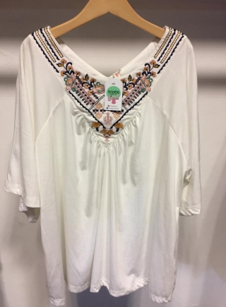 Blusa