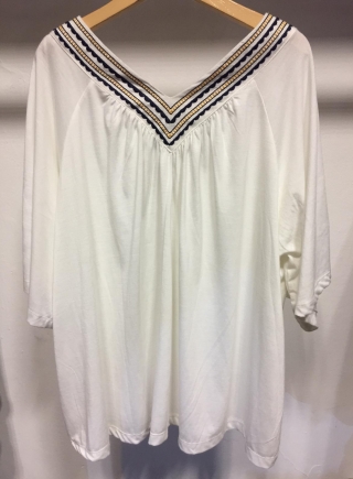 Blusa